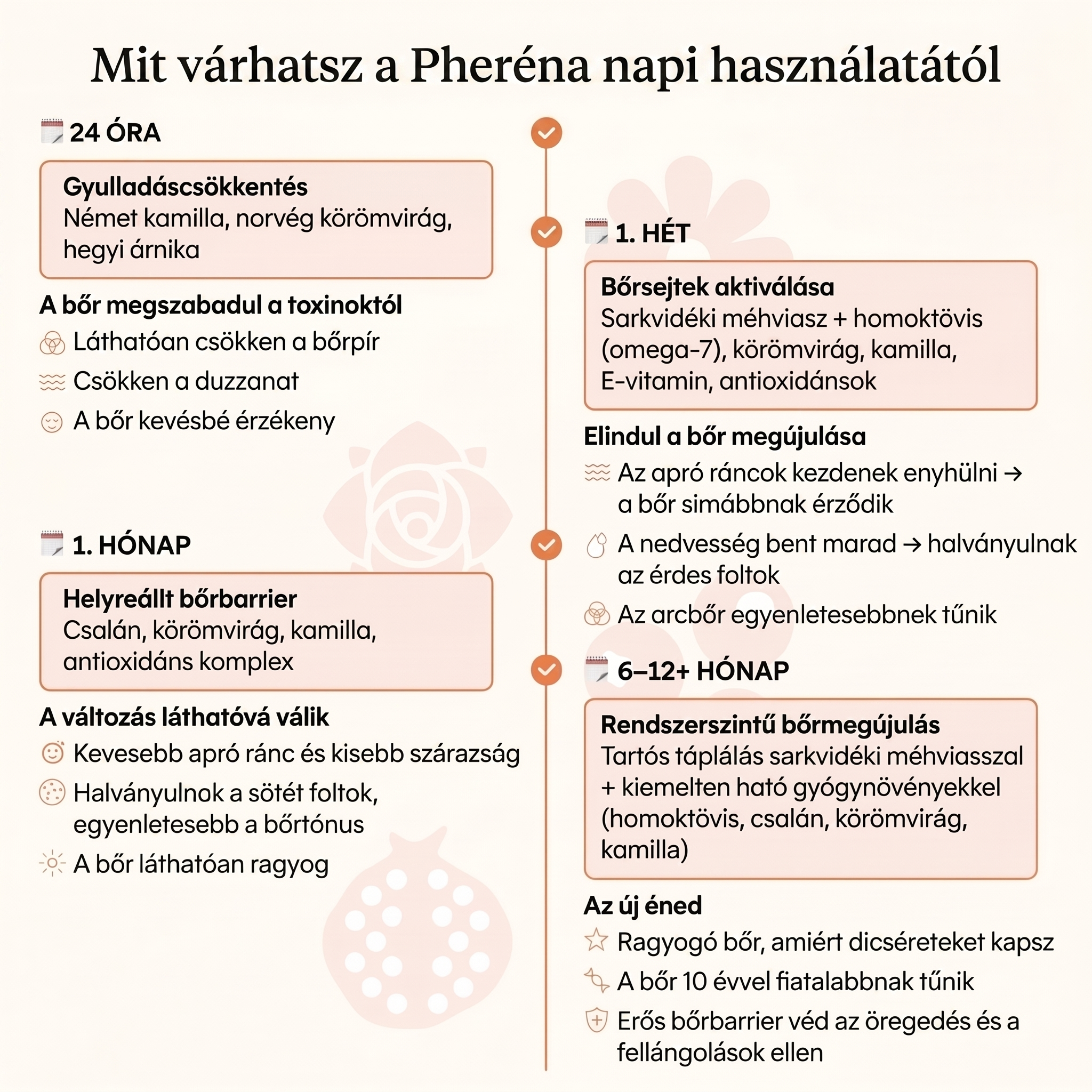 Pheréna - Komplett Anti-Age Szett Nőknek